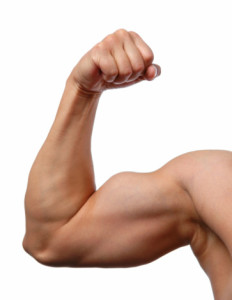 Close up of man's arm showing biceps